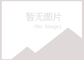 罗定字迹水泥有限公司